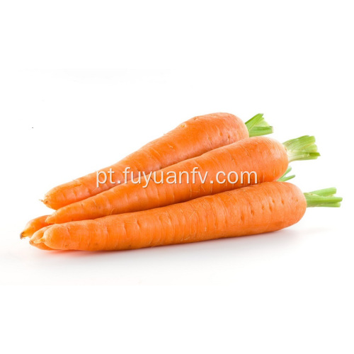 Cenouras frescas de tamanho pequeno
